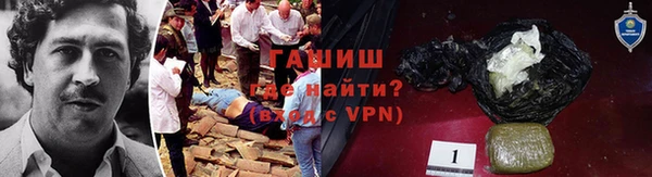 гашик Бородино