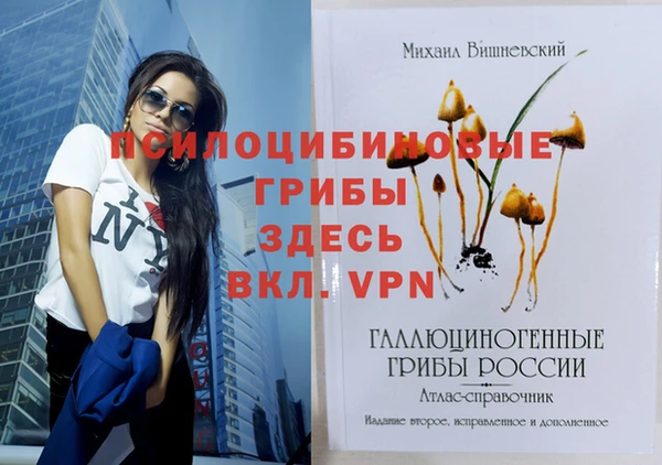 скорость Бронницы