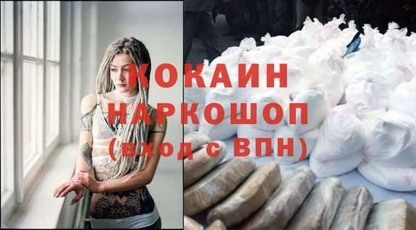 гашик Бородино