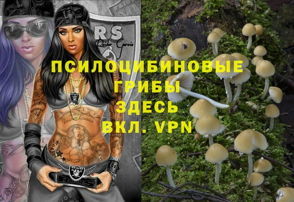 скорость Бронницы