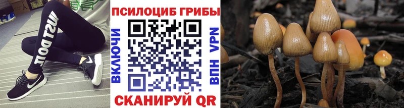 Псилоцибиновые грибы GOLDEN TEACHER Купить где Навашино